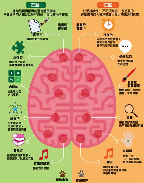 右腦適合工作|左右腦思考的人該怎麼發揮長處？－看圖說故事｜商